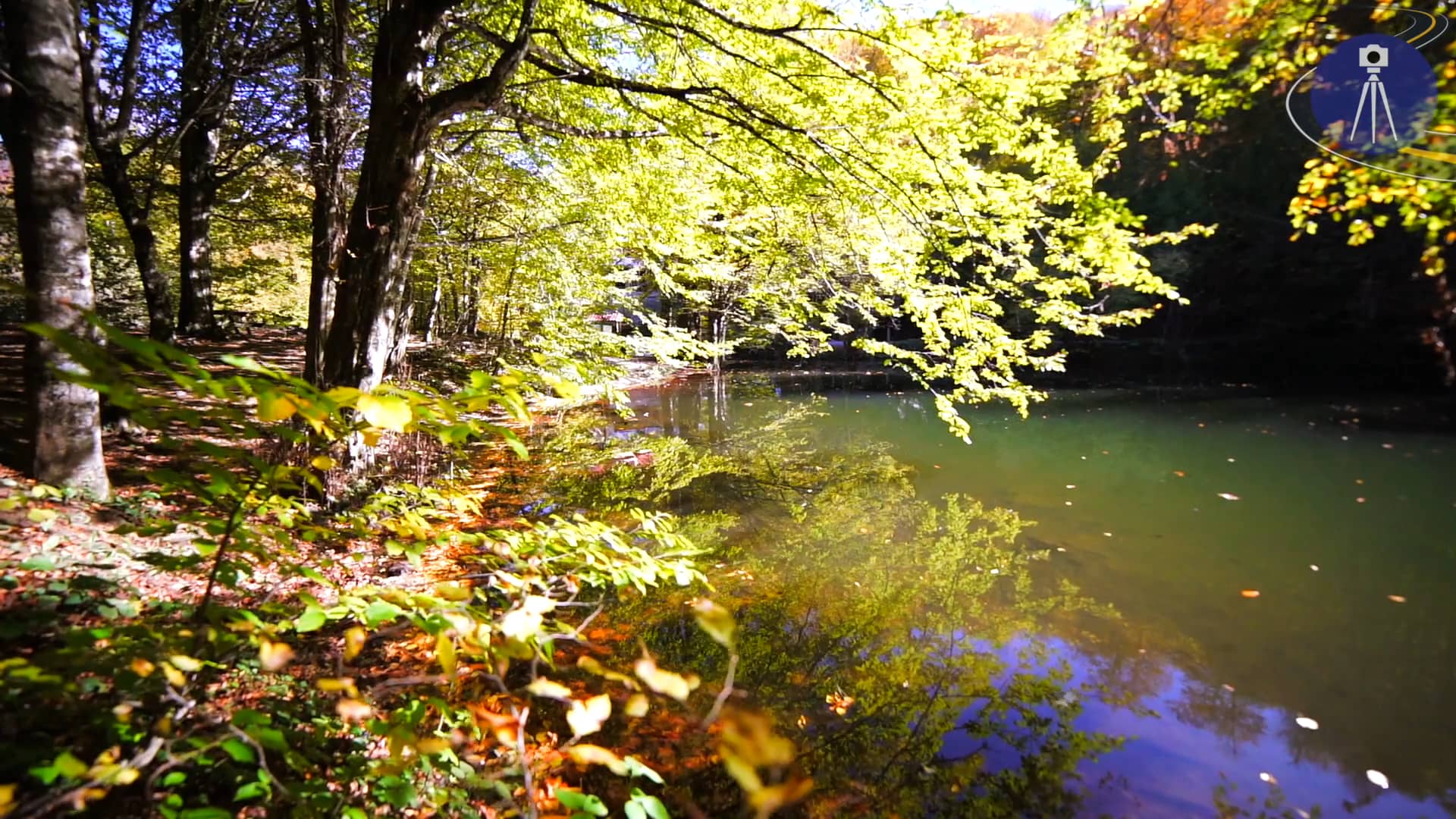 Autumn Reflections on Vimeo
