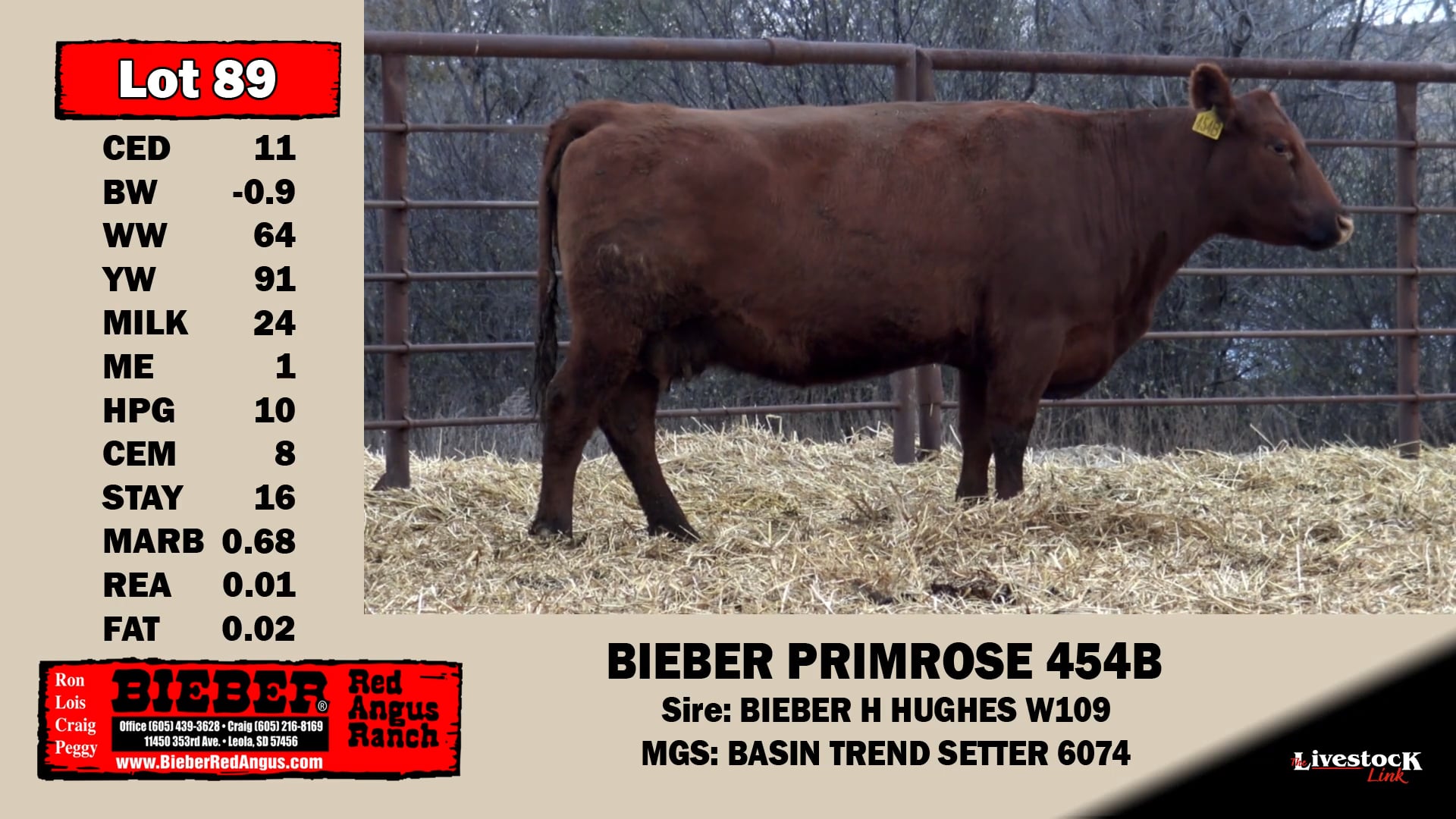 Bieber Red Angus Lot 89 on Vimeo