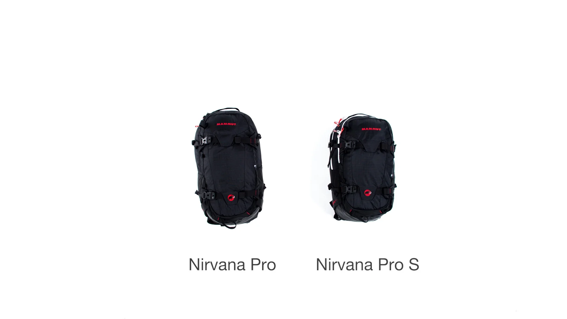 Nirvana pro 2024