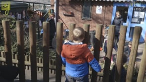 Oliver explores outside thumbnail