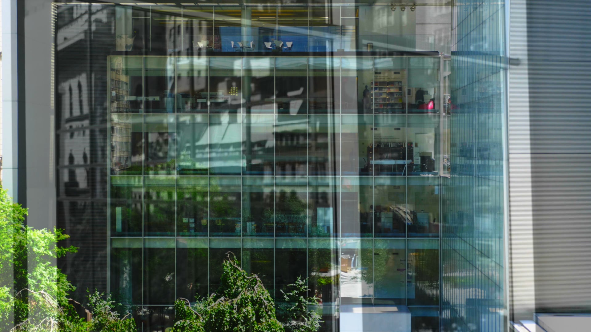 DANGER FIELD | HAPPENNESS