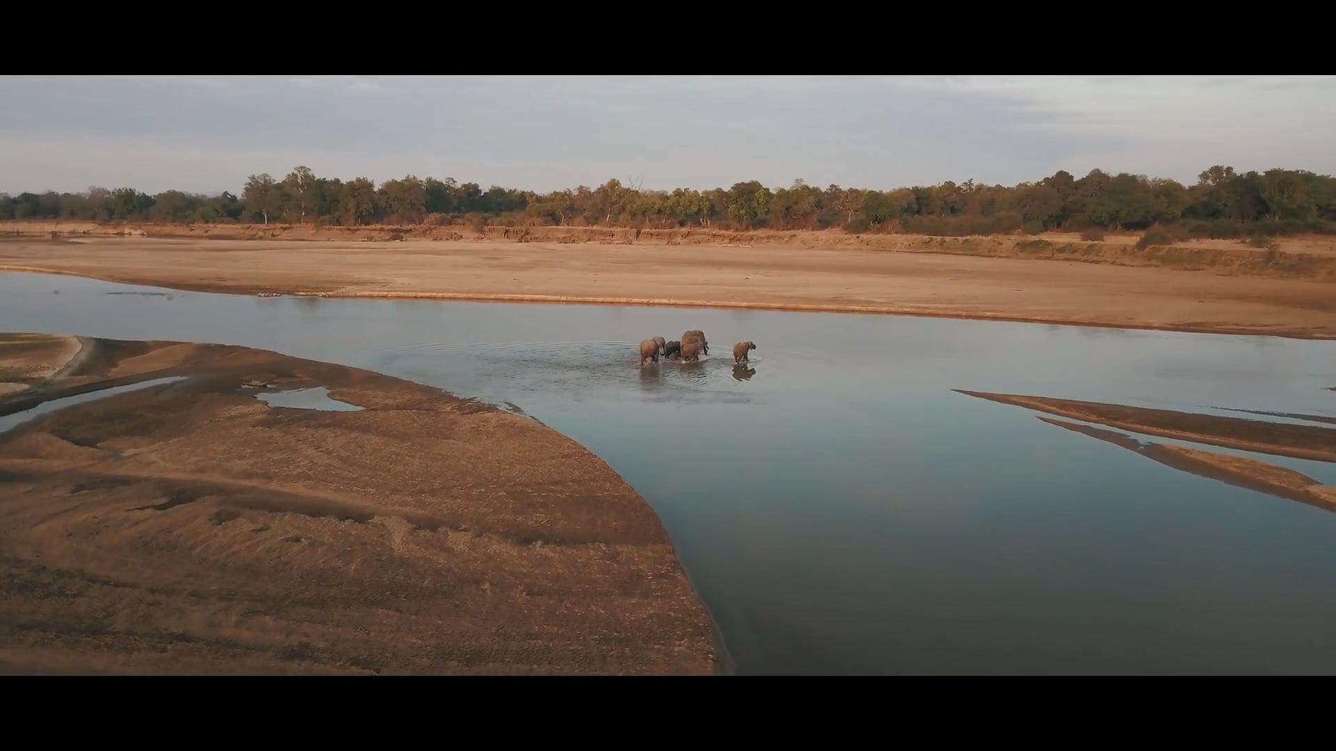WWF UK - World Ranger Day