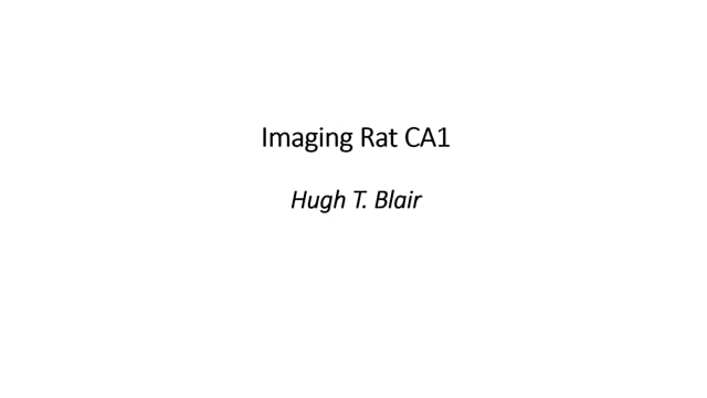 9-Imaging Rat CA1-Blair