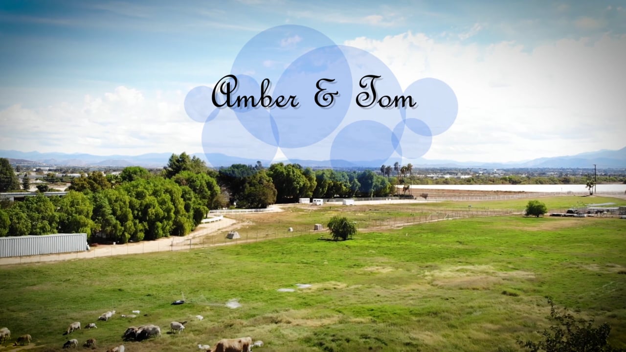 Amber + Tom ~ Hawk Ranch Wedding Video Highlight Film