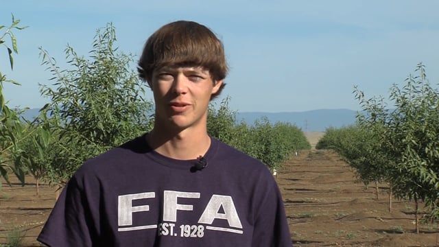 Ranch Foreman, Orchard SAE