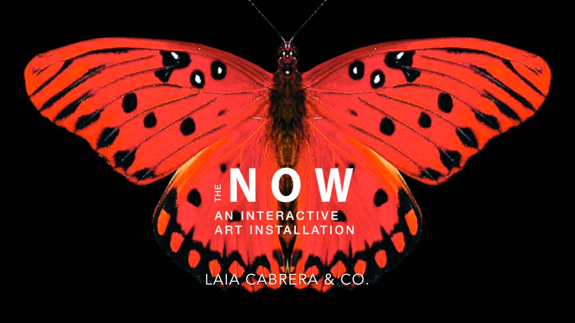 THE NOW