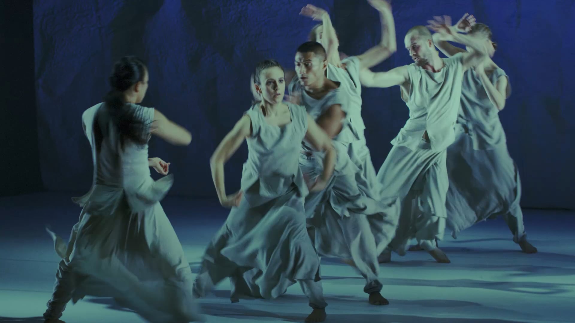 NORRDANS - Trailer Glansvit