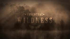 John Muir Trust - Essential Wildness