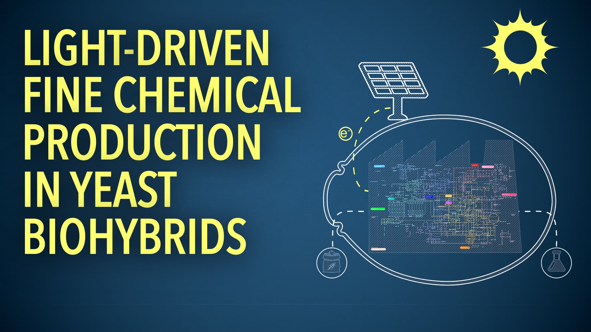 Light-driven fine chemical production in yeast biohybrids