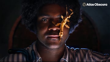 In a Nutshell on Vimeo