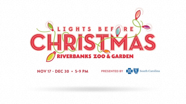 Riverbanks Zoo Lights Before Christmas