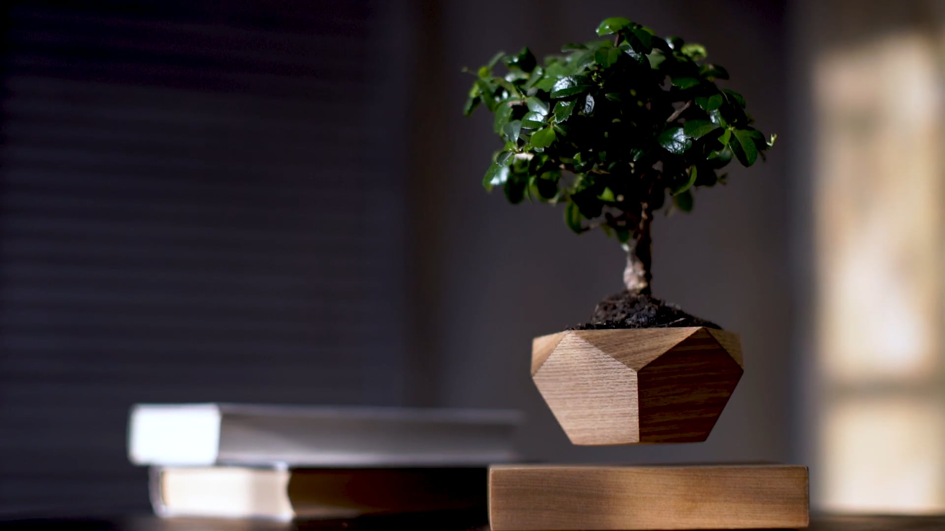 Левитирующее растение LePlant on Vimeo