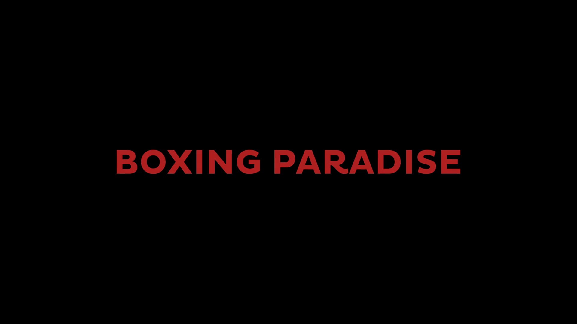 Boxing Paradise