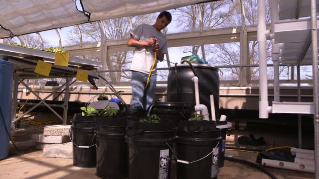 Hydroponics SAE