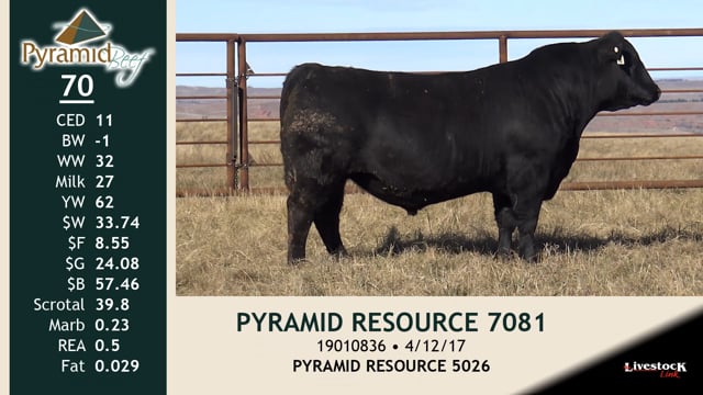 Lot #70 - PYRAMID RESOURCE 7081
