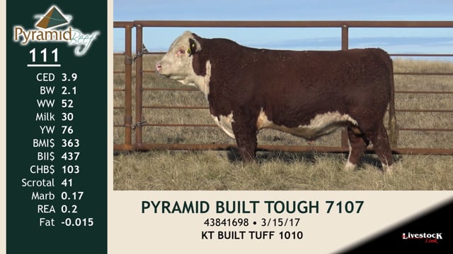 Lot #111 - PYRAMID BUILT TOUGH 7107