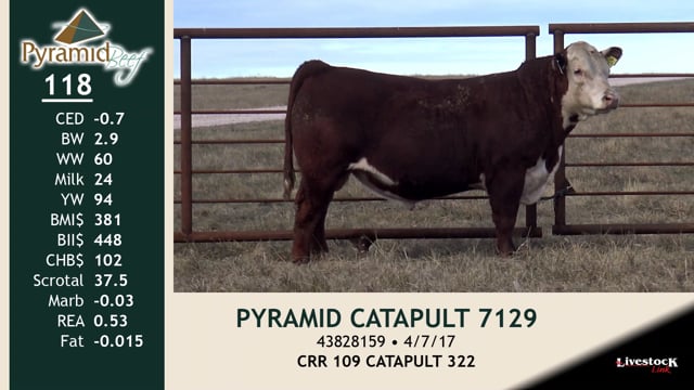 Lot #118 - PYRAMID CATAPULT 7129