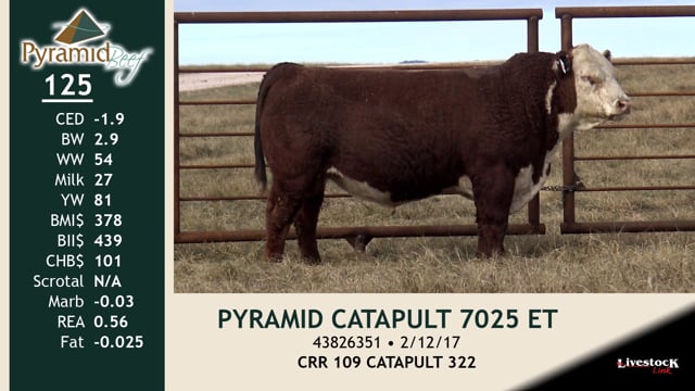 Lot #125 - PYRAMID CATAPULT 7025 ET
