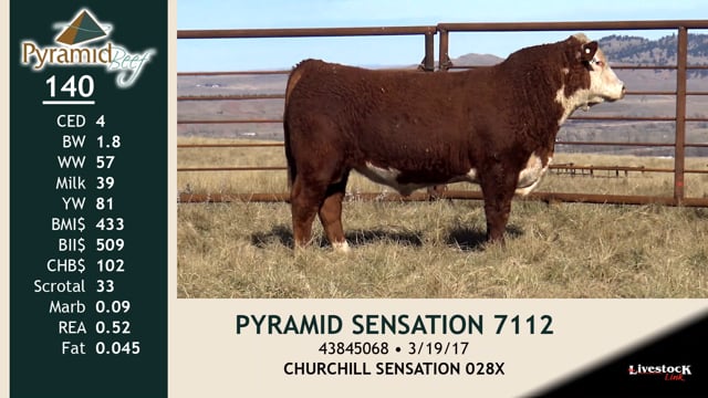 Lot #140 - PYRAMID SENSATION 7112