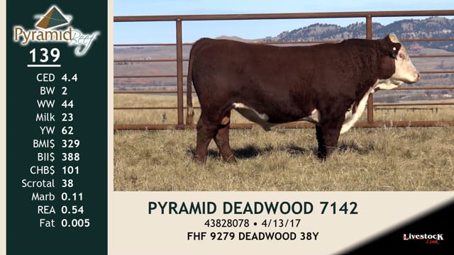 Lot #139 - PYRAMID DEADWOOD 7142