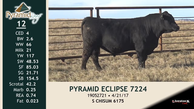 Lot #12 - PYRAMID ECLIPSE 7224