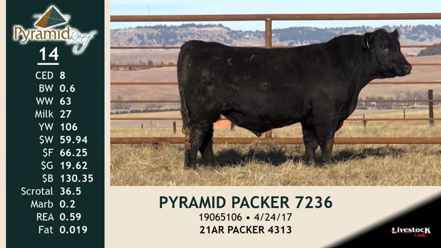 Lot #14 - PYRAMID PACKER 7236