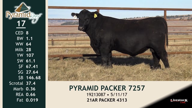 Lot #17 - PYRAMID PACKER 7257