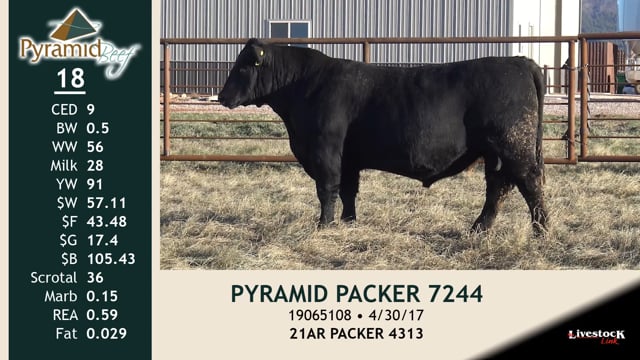 Lot #18 - PYRAMID PACKER 7244