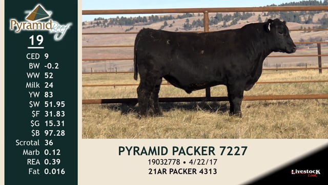Lot #19 - PYRAMID PACKER 7227