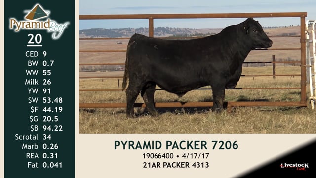 Lot #20 - PYRAMID PACKER 7206