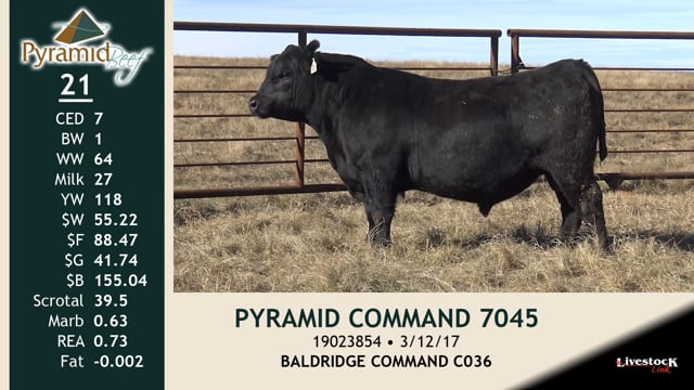 Lot #21 - PYRAMID COMMAND 7045