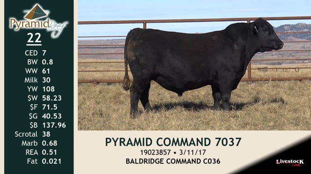 Lot #22 - PYRAMID COMMAND 7037