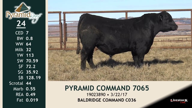 Lot #24 - PYRAMID COMMAND 7065