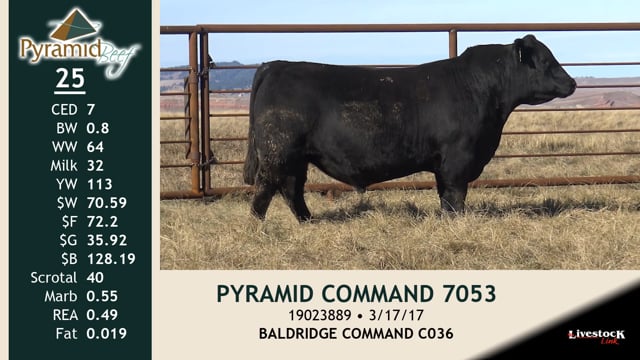 Lot #25 - PYRAMID COMMAND 7053