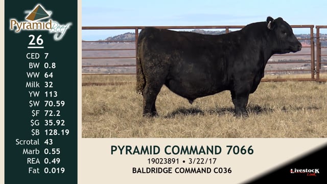 Lot #26 - PYRAMID COMMAND 7066