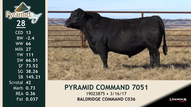 Lot #28 - PYRAMID COMMAND 7051