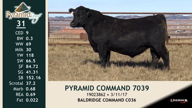 Lot #31 - PYRAMID COMMAND 7039