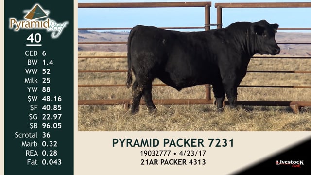 Lot #40 - PYRAMID PACKER 7231