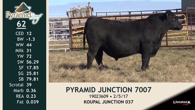 Lot #62 - PYRAMID JUNCTION 7007