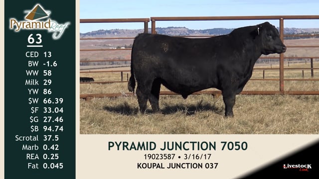 Lot #63 - PYRAMID JUNCTION 7050