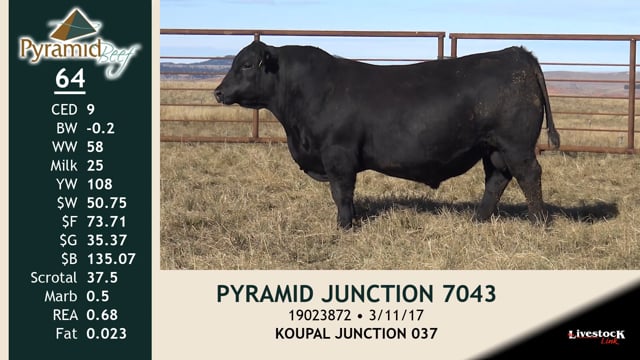 Lot #64 - PYRAMID JUNCTION 7043