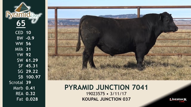 Lot #65 - PYRAMID JUNCTION 7041