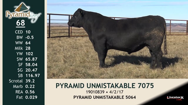 Lot #68 - PYRAMID UNMISTAKABLE 7075