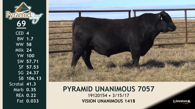 Lot #69 - PYRAMID UNANIMOUS 7057