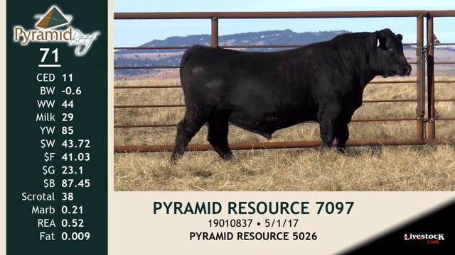 Lot #71 - PYRAMID RESOURCE 7097