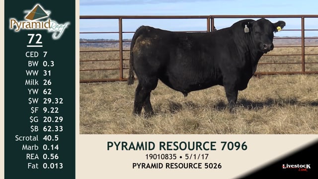 Lot #72 - PYRAMID RESOURCE 7096