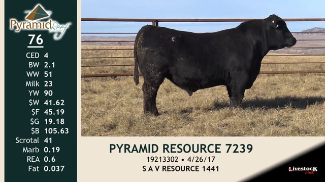 Lot #76 - PYRAMID RESOURCE 7239