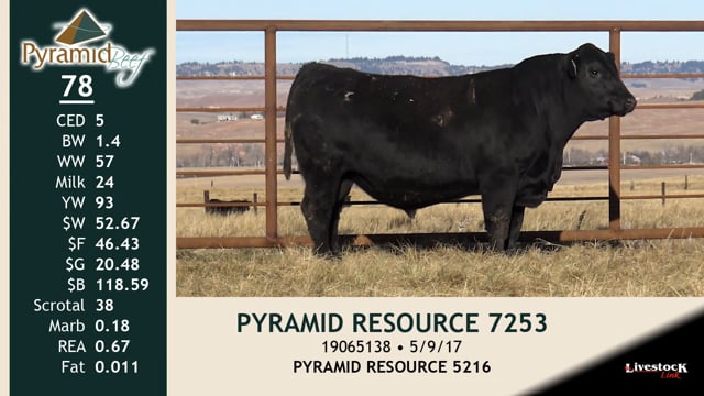Lot #78 - PYRAMID RESOURCE 7253