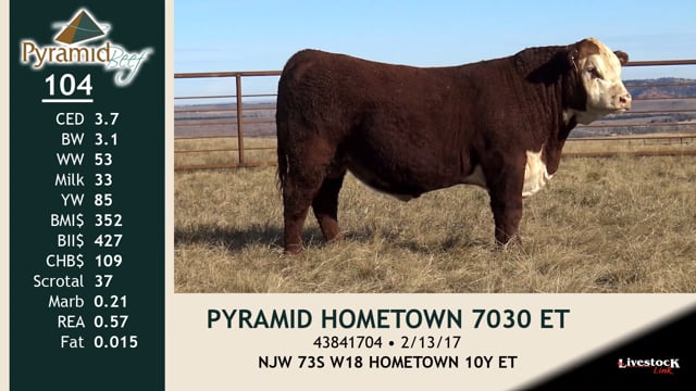 Lot #104 - PYRAMID HOMETOWN 7030 ET