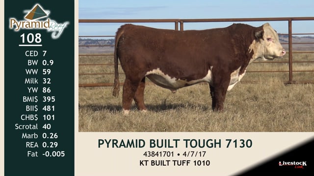 Lot #108 - PYRAMID BUILT TOUGH 7130